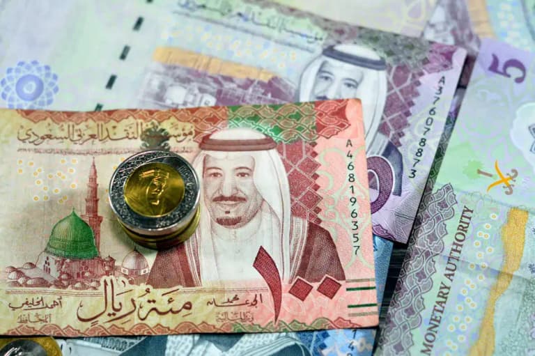 Saudi Riyal currency and banking