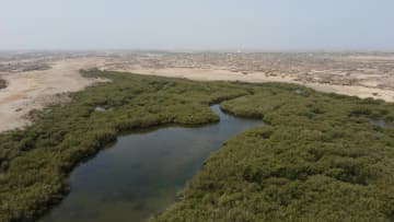 Jizan tropical coastline