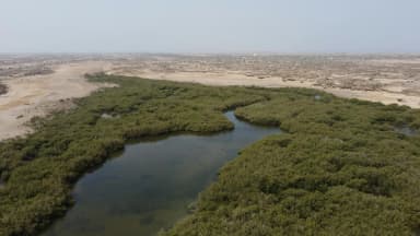 Jizan tropical coastline
